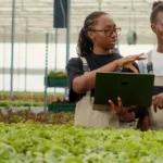 OPPORTUNITÉ : AWIEF Pitch n Grow 2026 – Le tremplin panafricain pour les femmes entrepreneures